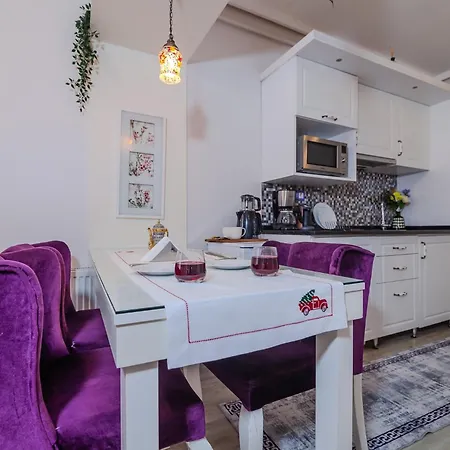 Appart hôtel Taksim Nil Istambul