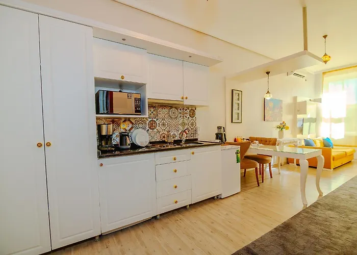 公寓式酒店 Taksim Nil